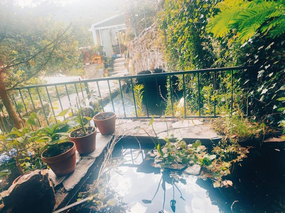 Gite Et Jardin En Bord De Riviere Saumane Ngoại thất bức ảnh